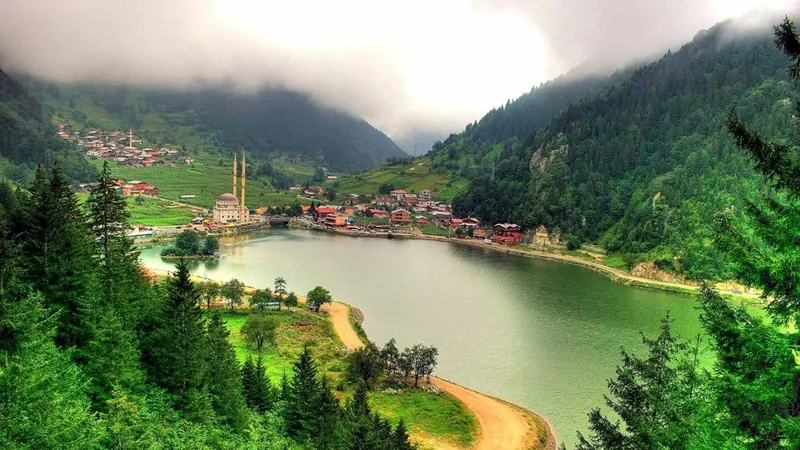 Black Sea highland valley near Trabzon and Ayder