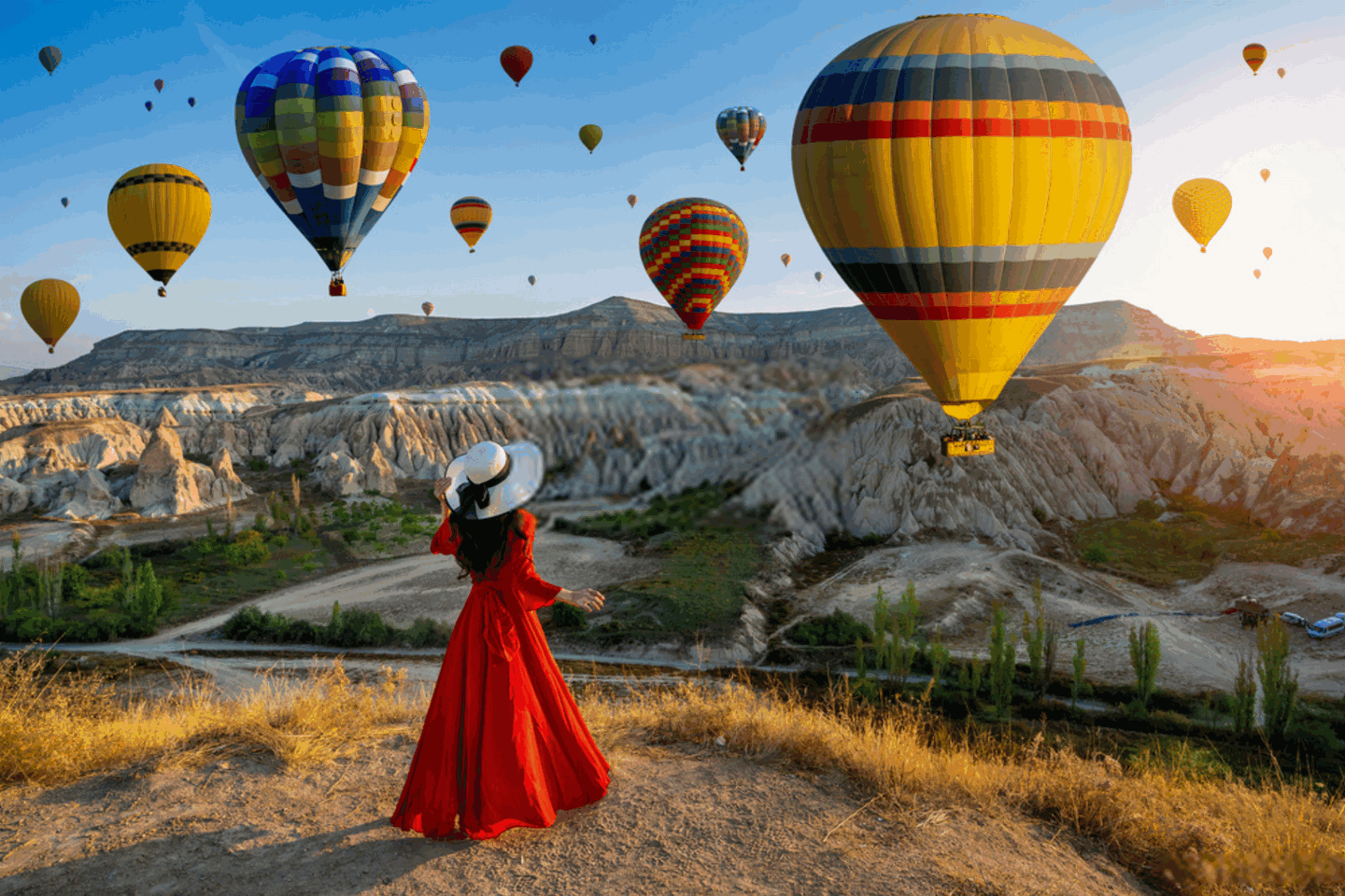 8a1aa8fda8a7fe876f5421b1ff8f2cf5